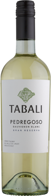 Tabali Pedregoso Gran Reserva Sauvignon Blanc