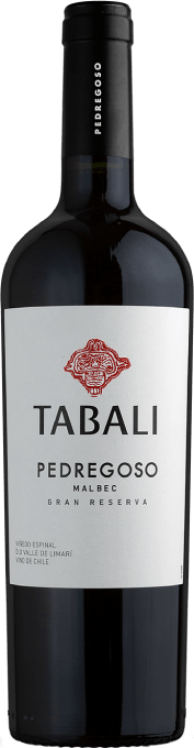 Tabali Pedregoso Gran Reserva Malbec